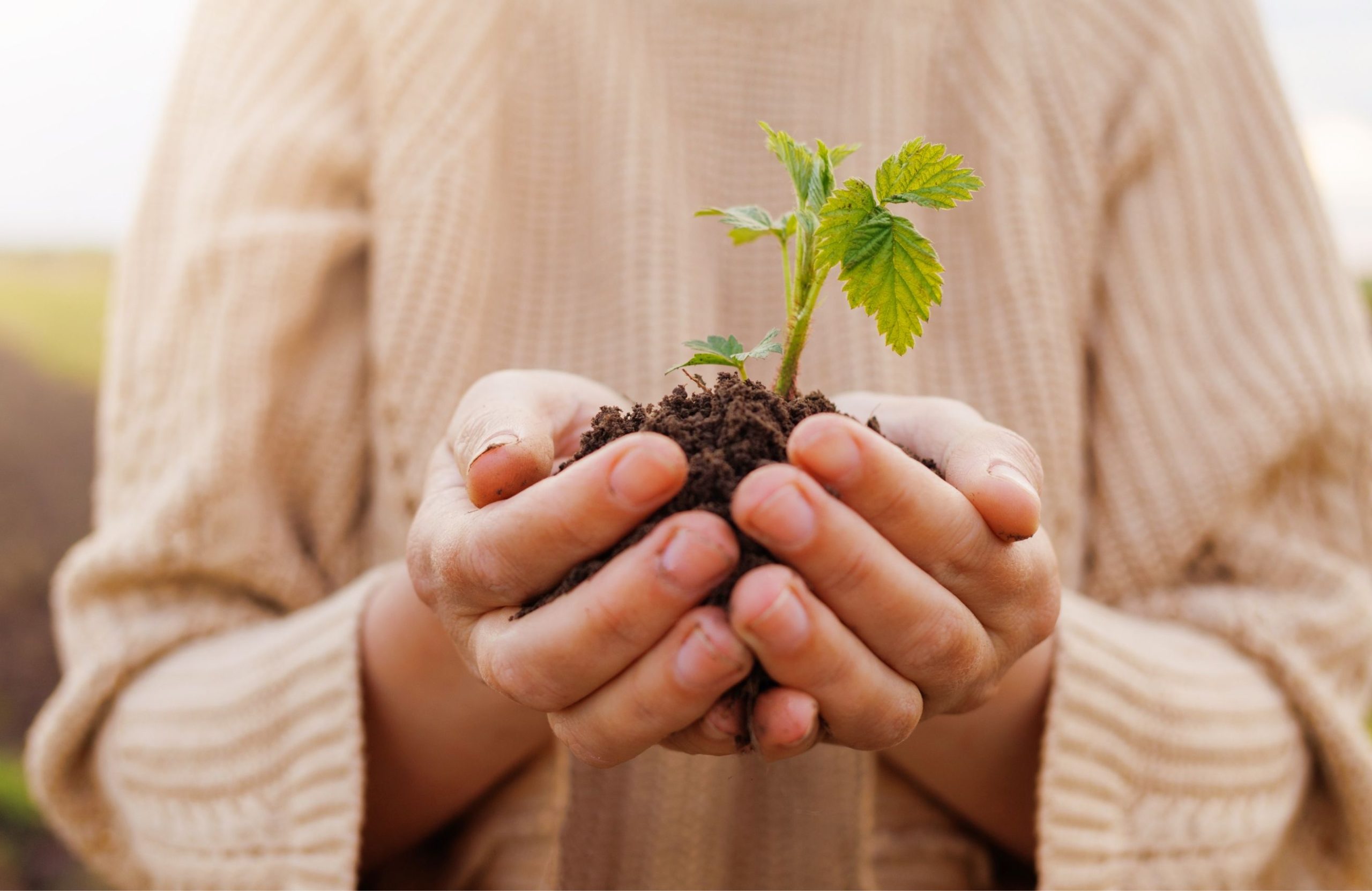 How to Build Trust as a Grassroots Organisation