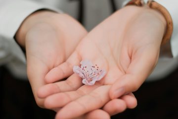 How to Choose a Charity That Aligns With Your Values